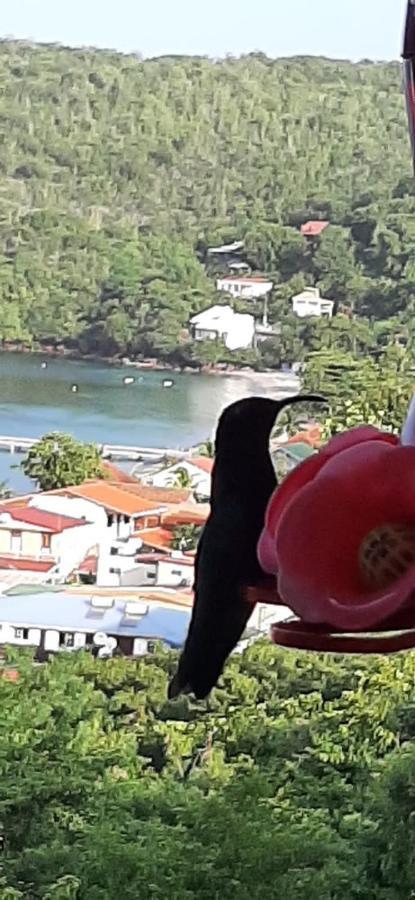 Appartement Colibri , Les Anses D 'Arlet Exteriér fotografie